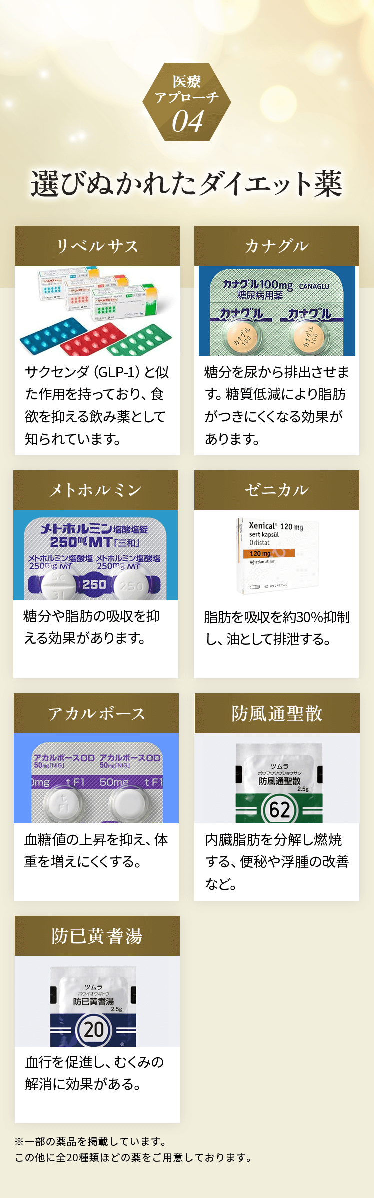 Approach 04 ダイエット薬