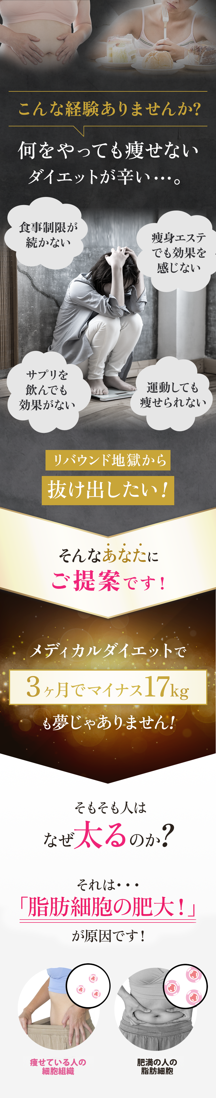 こんな経験ありませんか 何をやっても痩せないダイエットが辛い...。