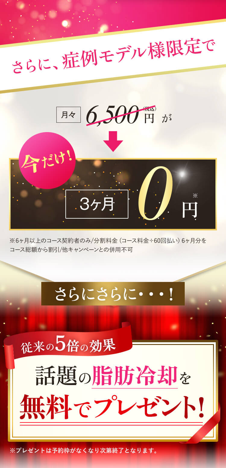 さらに、モニター様限定で今だけ6ヵ月0円