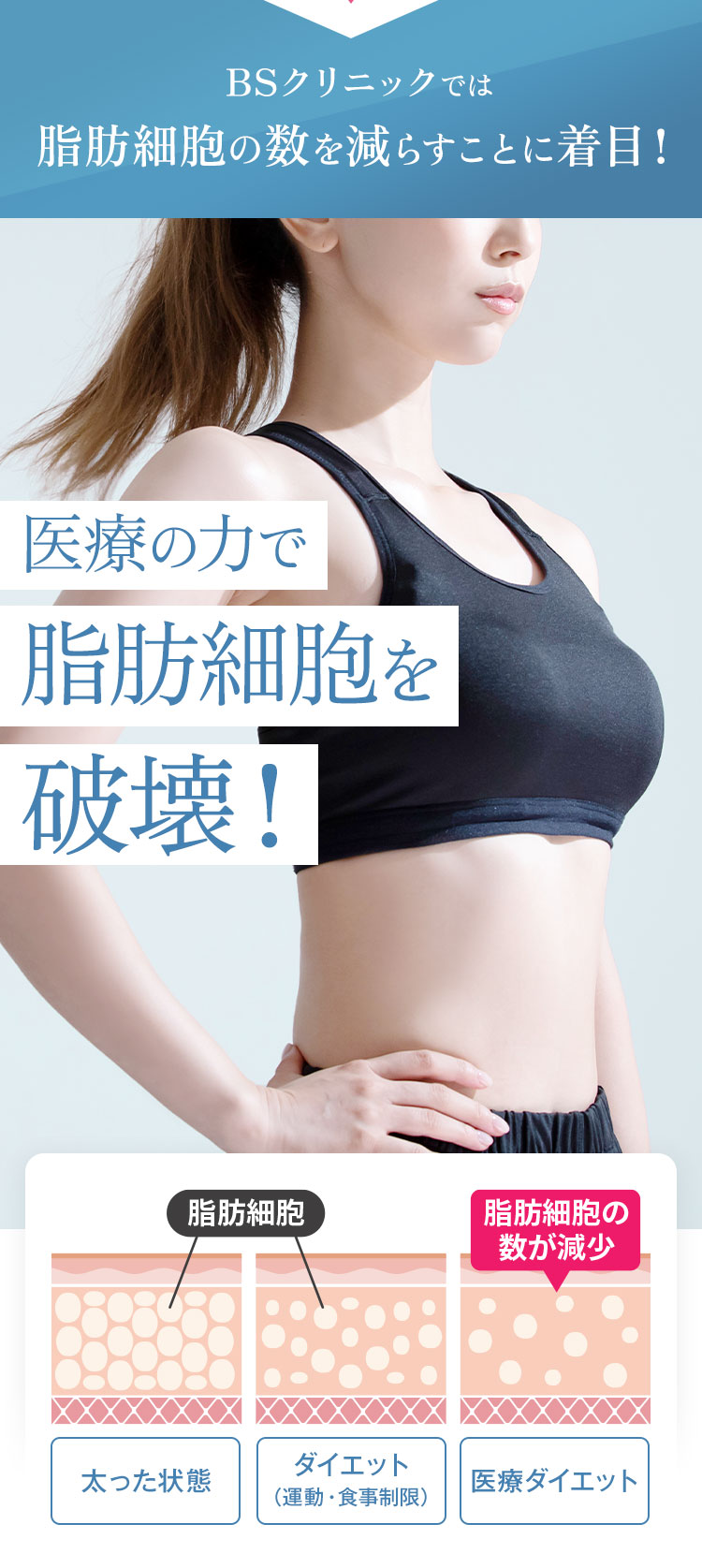 NMN痩身クリニックでは脂肪細胞の数を減らすことに着目! 医療の力で脂肪細胞を破壊!