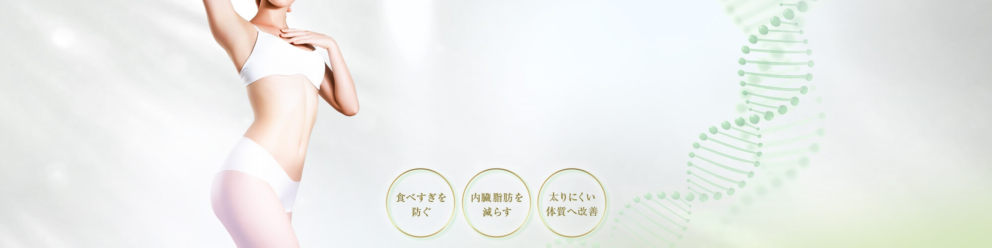 GLP-1ダイエット
