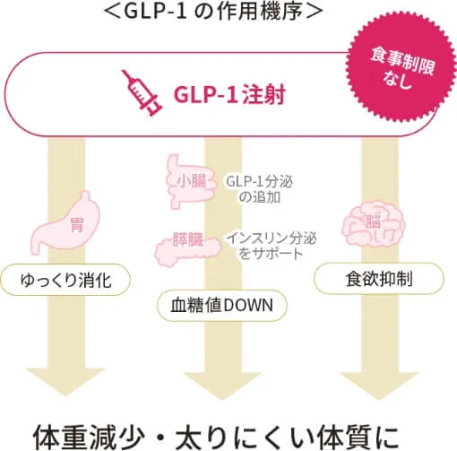 ダイエット注射（GLP-1 サクセンダ）