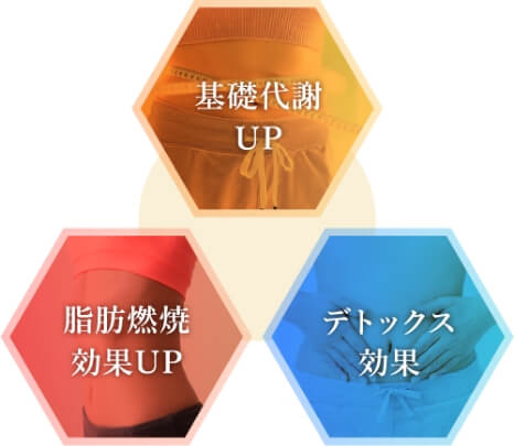 BS式ダイエット点滴