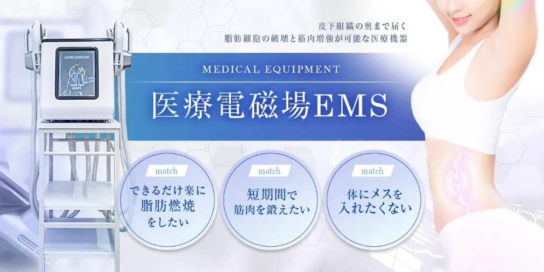 医療電磁場EMS