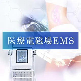 医療電磁場EMS