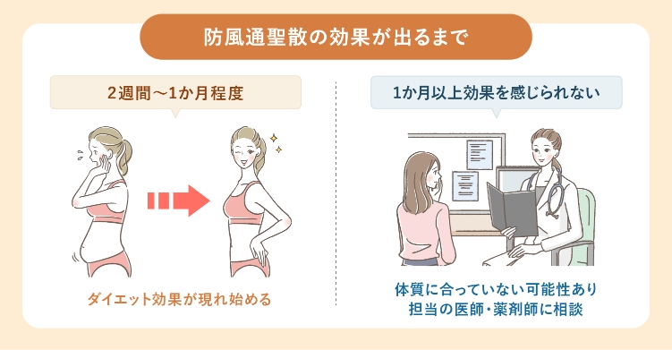 防風通聖散はどれくらいで効果が出る?