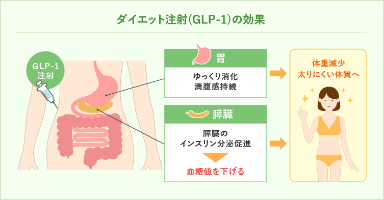 ダイエット注射(GLP-1)の効果