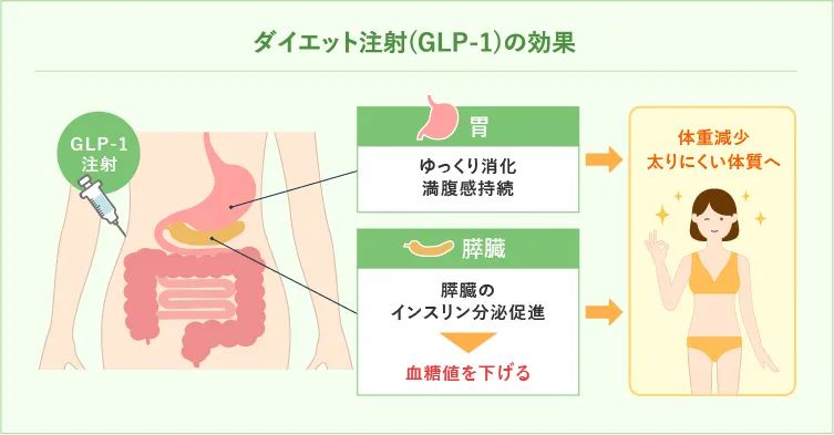 ダイエット注射（GLP-1）の効果