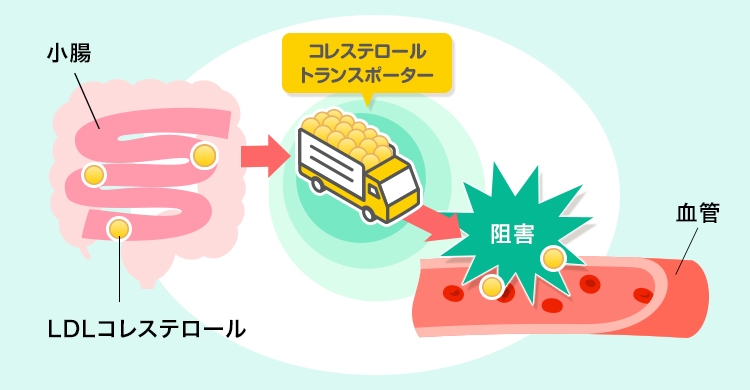 エゼチミブの効果
